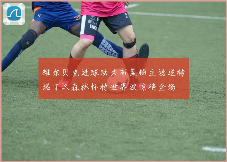 维尔贝克进球助力布莱顿主场逆转诺丁汉森林怀特世界波惊艳全场