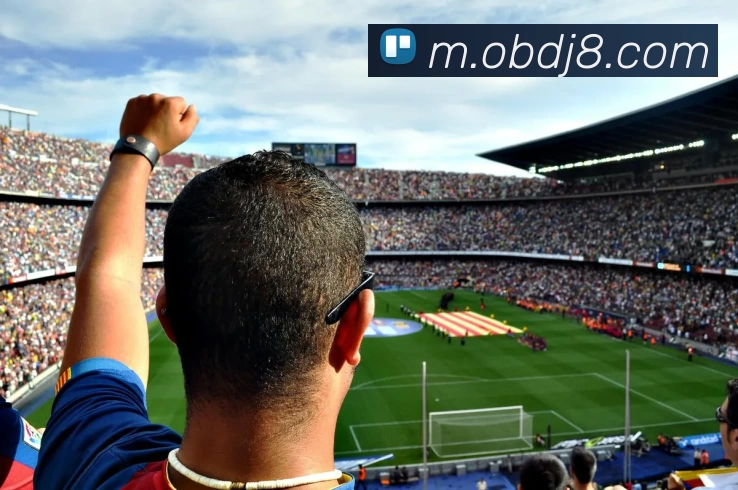 OB电竞APP 封面图